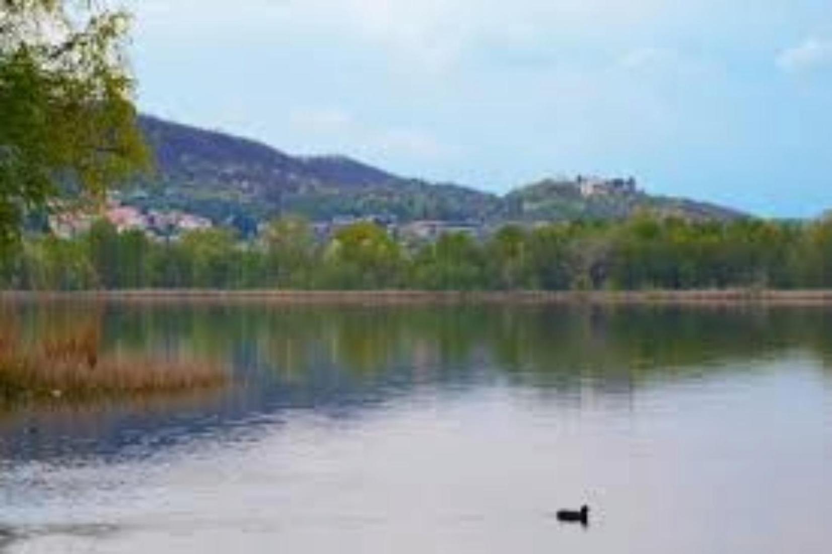 ホテル De Santi Candia Canavese エクステリア 写真